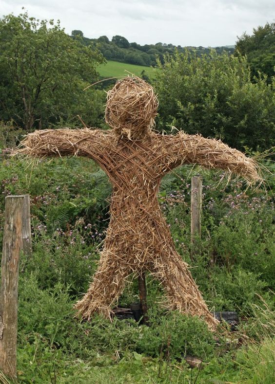 Image result for straw man